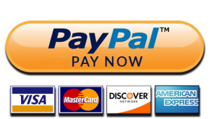 Pay Now With PayPal or Credit Card